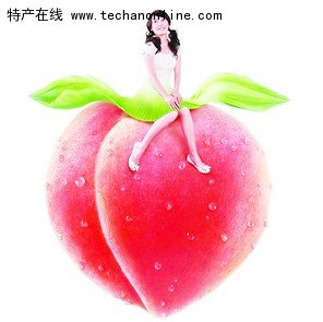 北梁蜜桃