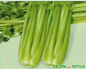 寿光绿实杆芹菜