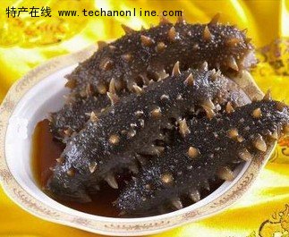 烟台海参