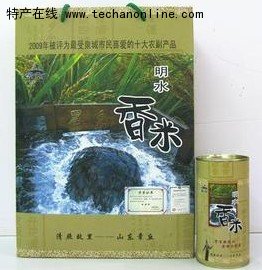 明水香稻