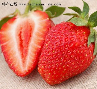 大店草莓