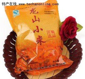 龙山小米