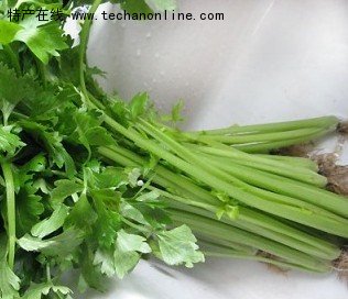 鲍家芹菜
