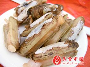 角美缢蛏