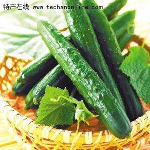 沂南黄瓜