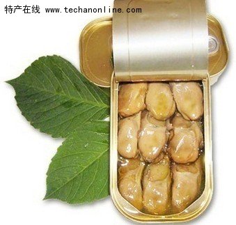 荣成牡蛎