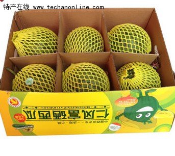 仁风西瓜