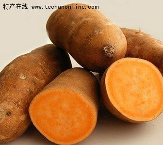 平阴鲜食地瓜
