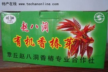 赵八洞香椿