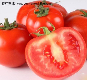 胶北西红柿