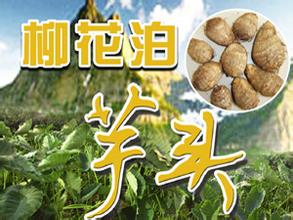 “柳花泊”芋头