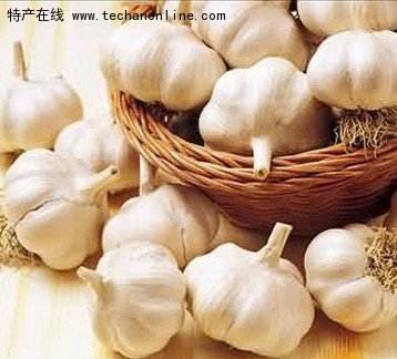 金乡大蒜