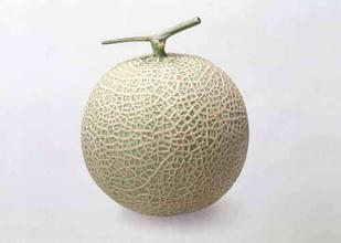 崔寨香瓜