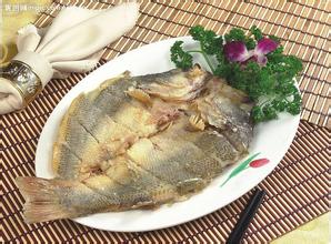莱州湾鲈鱼