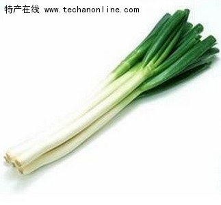 寿光大葱