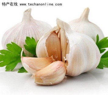 金乡大蒜