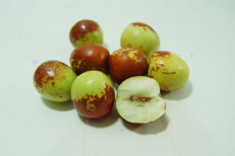 薛城冬枣