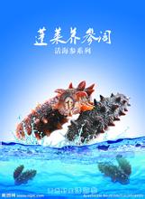 蓬莱刺参