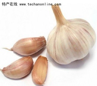 安丘大蒜