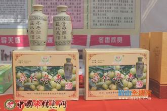 华仁冬枣