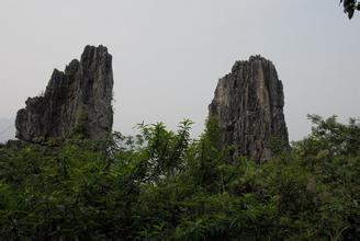 晏阳玉兰片