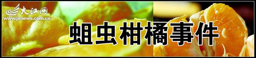 旺苍椪柑