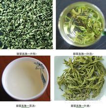 名茶屏山炒青