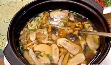 野生菌