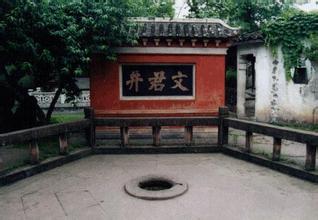 邛崃文君绿茶