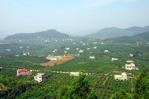 崭山米枣