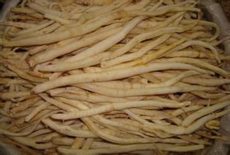 苍溪川明参