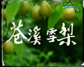 苍溪雪梨