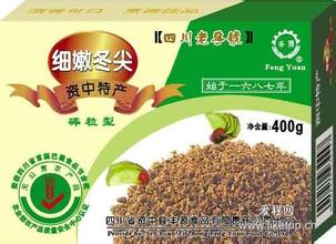 资中冬尖