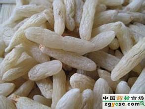 三台涪城麦冬
