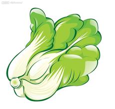 梭磨白菜