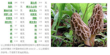 编笠菌