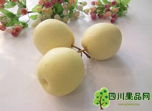 汉源雪梨