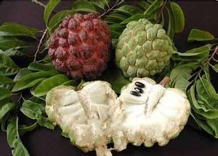 香洲番荔枝