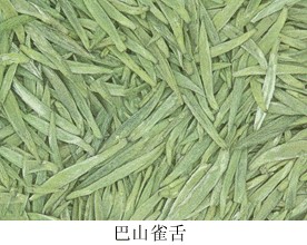 巴山雀舌