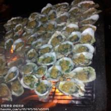 湛江蚝