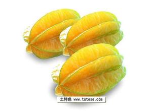 河唇水晶杨桃