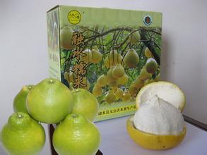 融水糯米柚