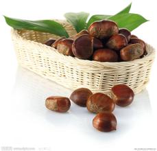 春湾板栗