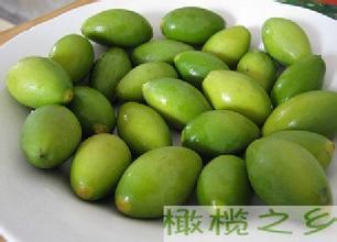 白榄