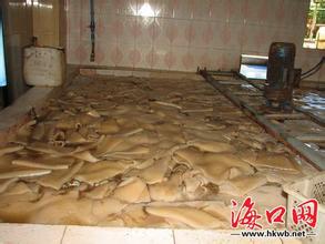 海南椰子果