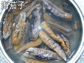 海 参