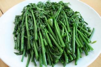 五指山野菜
