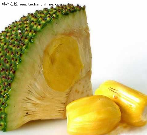 海南菠萝蜜