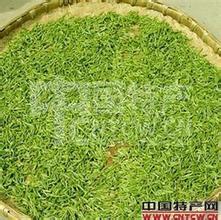 虞山绿茶