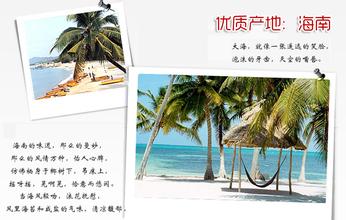 原汁椰子粉